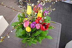 GLOBAL FURNITURE OPEN HOUSE